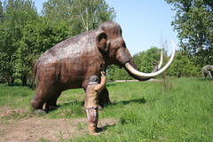 Killikus&reg; Fotographie